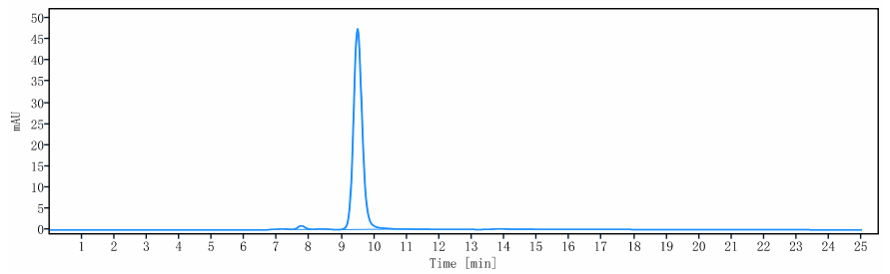 WB - Anti-ANGPTL4 Reference Antibody (Nanyang Tech.U. patent anti-ANGPTL4) APR10783